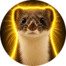 Гена
