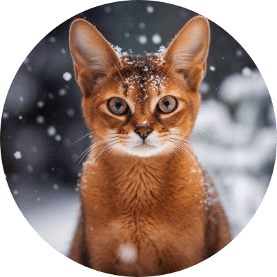 GINGER logo