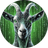 GPU