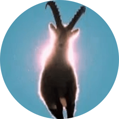 Goat Wif Aura logo