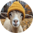 GIF