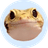 Gogo