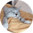 GN