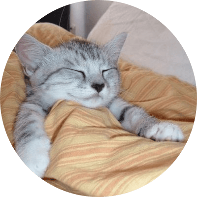 Goodnight logo