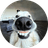 GOOF