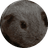 RANDY