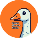 Goose shouts Kwak