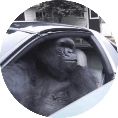 Gorilla In A Fucking Coupe logo