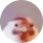 GREG