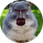 GRIMBUS 