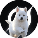 Groks Dog
