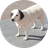 GUILTDOG