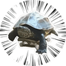 Gunso Tiny Skateboard Turtle