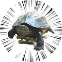 Gunso Tiny Skateboard Turtle