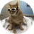 gus