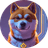 Hachi Inu