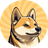 HACHI