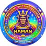 HamanCoin