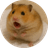 HAM