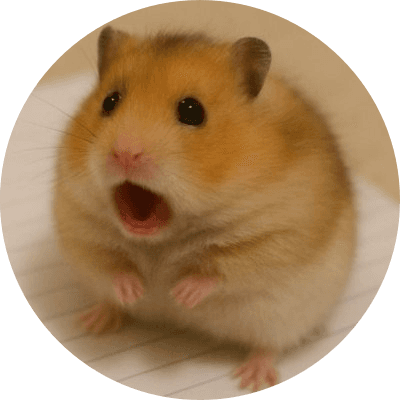 hamham logo