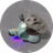 Vespa