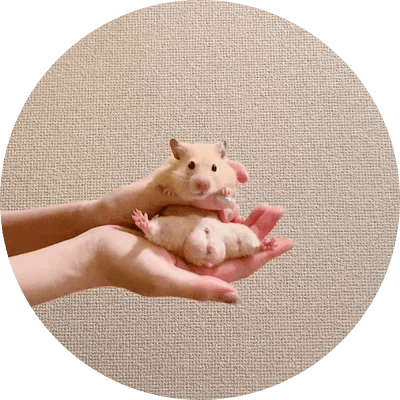 Hamster With Biggest Balls logo