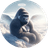 HARAMBE