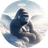 HARAMBE