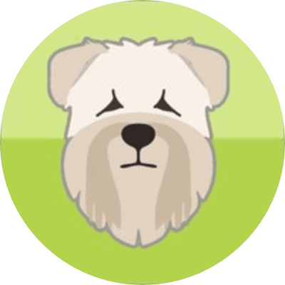 Harper logo