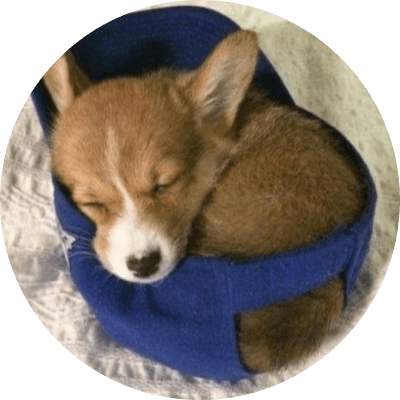 Hat Wif Dog logo