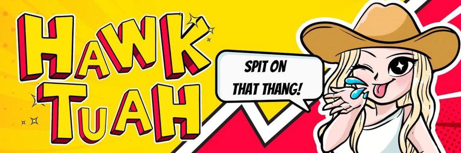 Hawk Tuah banner