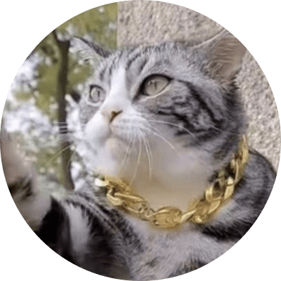 High-five cat logo