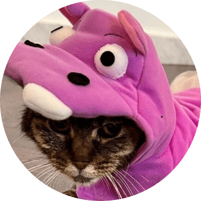 Hippo Cat logo