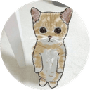 Hl Gato
