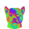 Holographic Dog