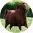 honse