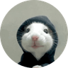 hood rat