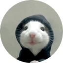 hood rat