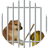 JAIL