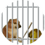 Horny Jail