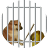 Horny Jail
