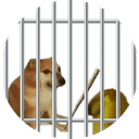 Horny Jail