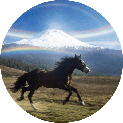 Horses logo