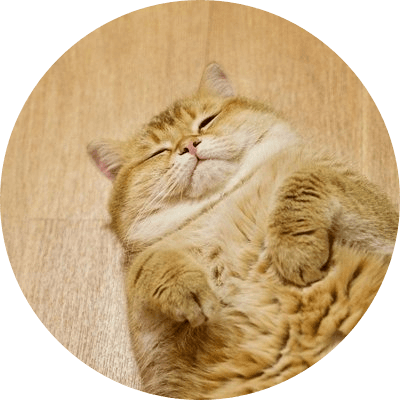 Hosico Cat logo