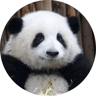 HUA HUA | 花花 logo