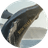 $HWHALE