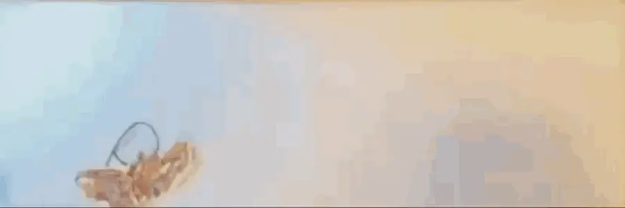 in real life coin banner