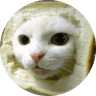 INBRED CAT