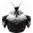 INS