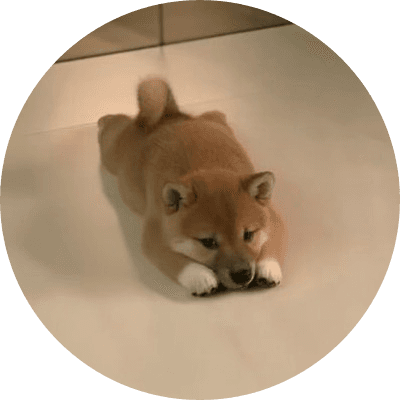 INU logo